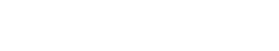 Novonesis logo
